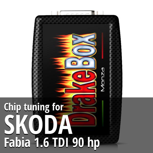 Chip tuning Skoda Fabia 1.6 TDI 90 hp