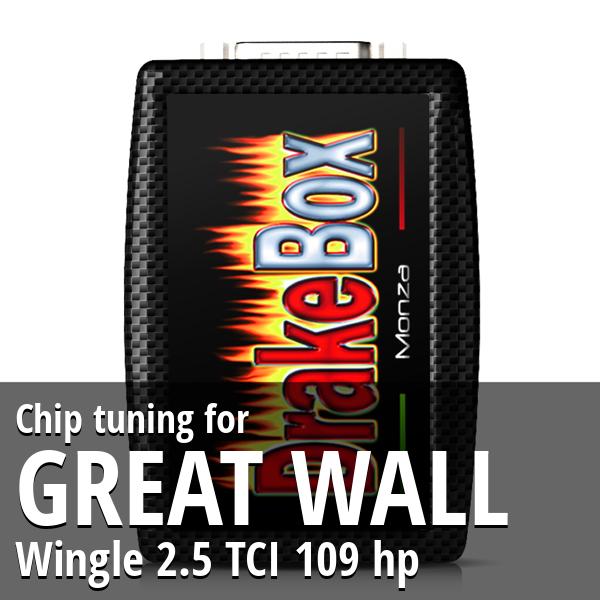 Chip tuning Great Wall Wingle 2.5 TCI 109 hp